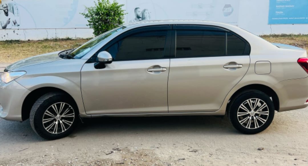 Noah Esquire for Hire